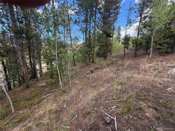 114 and 122 GCR 4905, Grand Lake, CO 80447