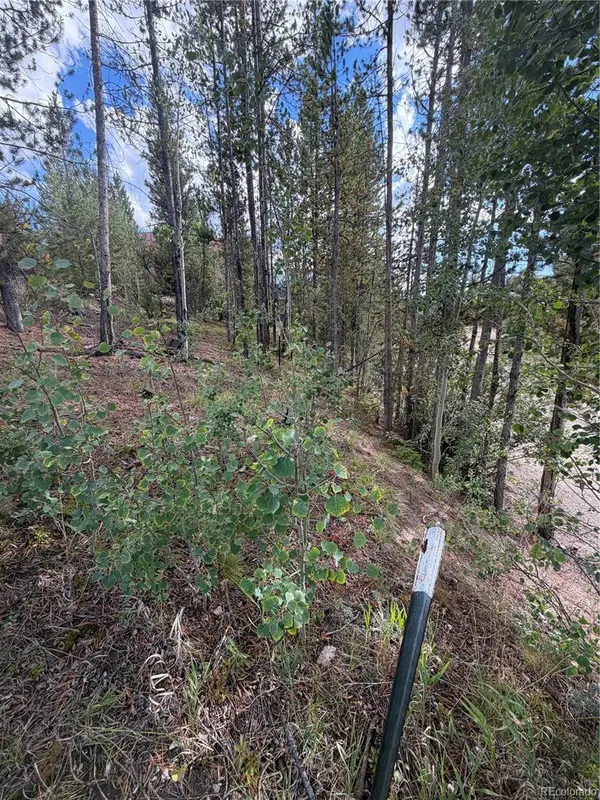 114 and 122 GCR 4905, Grand Lake, CO 80447