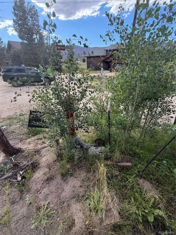 114 and 122 GCR 4905, Grand Lake, CO 80447