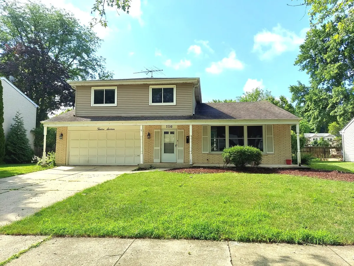 1216 Evergreen AVE, Naperville, IL 60540