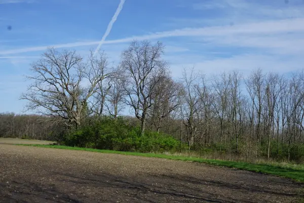 1935 N 1200 RD E, Crescent City, IL 60928