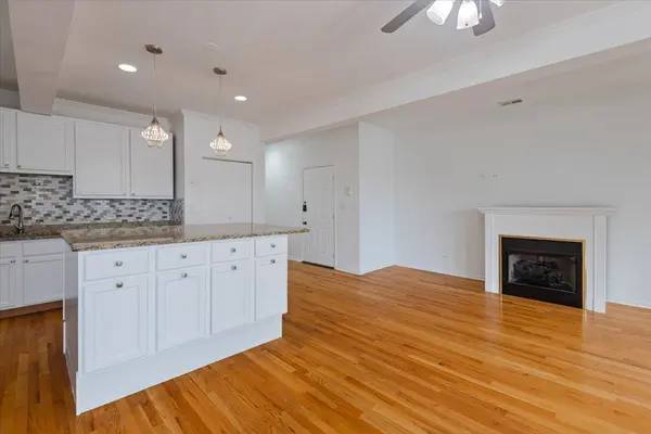 4842 S Michigan AVE #2S, Chicago, IL 60615