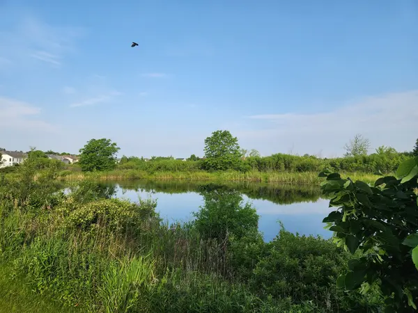 12778 W Wakefield DR #454-4, Beach Park, IL 60083