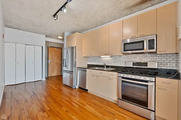 1845 S Michigan AVE #1602, Chicago, IL 60616