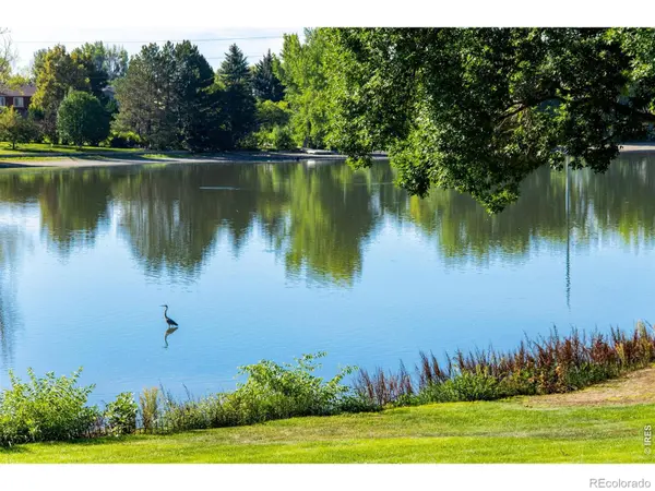 1115 Parkwood DR, Fort Collins, CO 80525