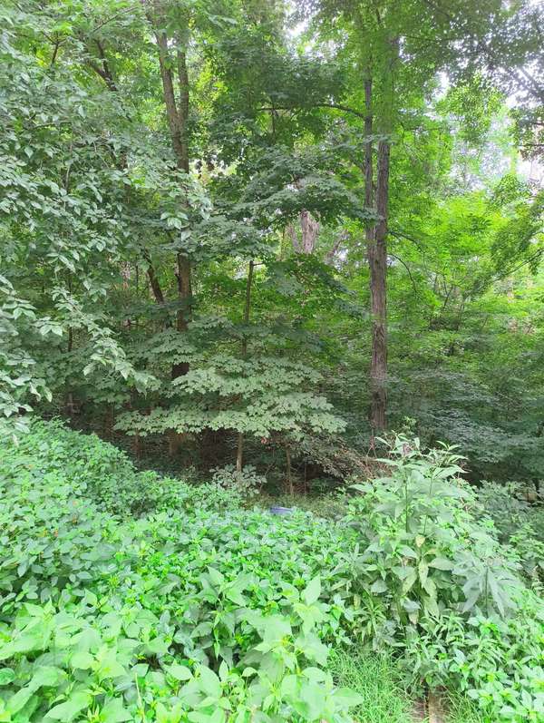 1921 Country Club RD, Spencer, IN 47460