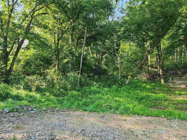 Tract 2 State Road 54 ***, Springville, IN 47462