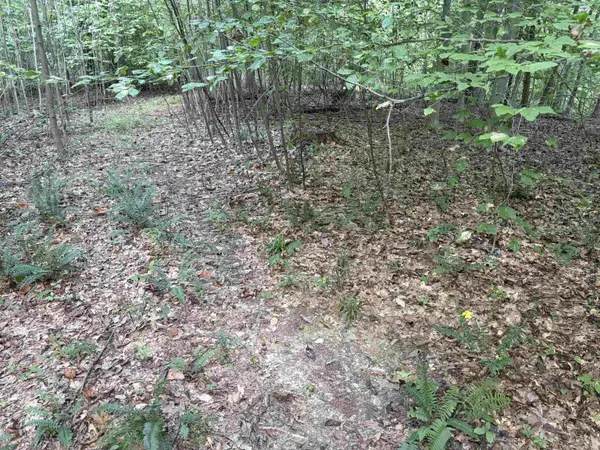 0 S Mifflin Westfork RD, English, IN 47118