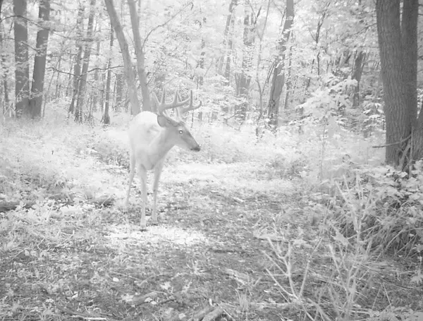 000 W Side W Providence Hill RD, Hardinsburg, IN 47125