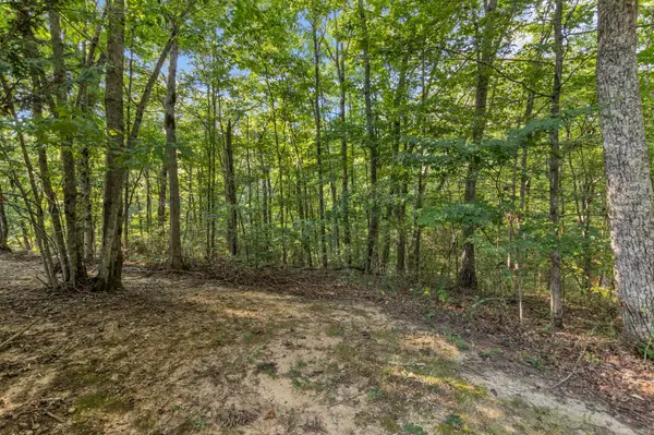 3200 Partin Farm Rd, Tracy City, TN 37387