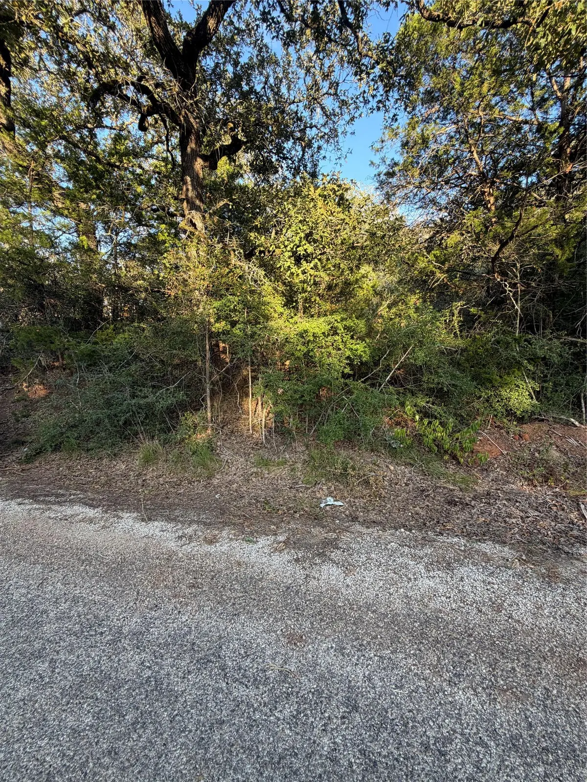Lot 194 Kaelepulu DR, Bastrop, TX 78602