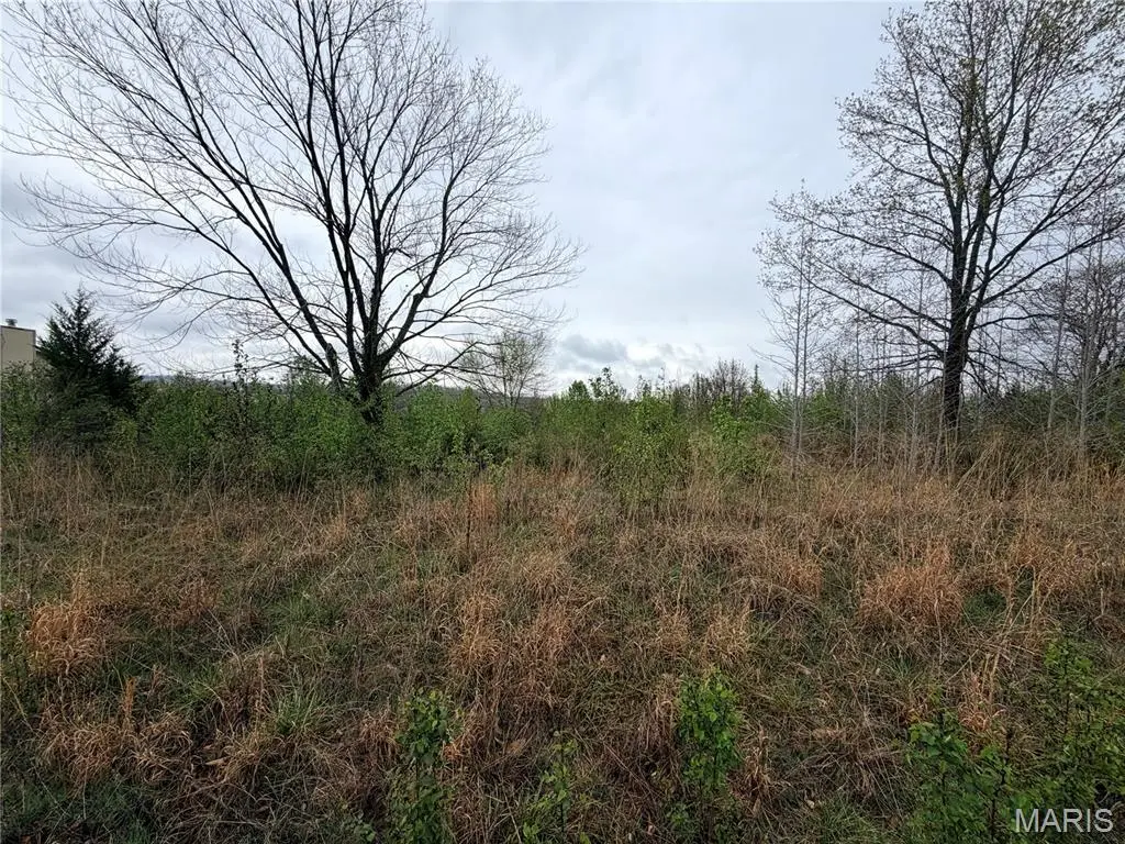 0 Salina RD, Waynesville, MO 65583