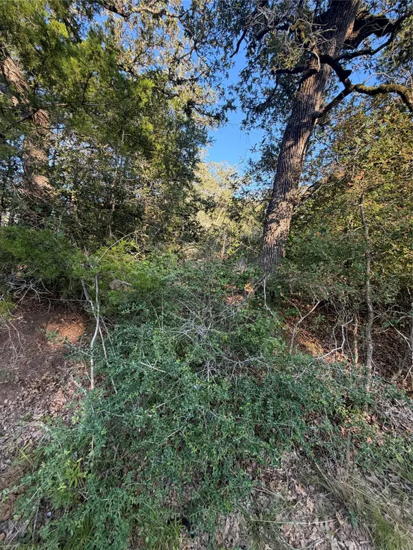 Lot 194 Kaelepulu DR, Bastrop, TX 78602