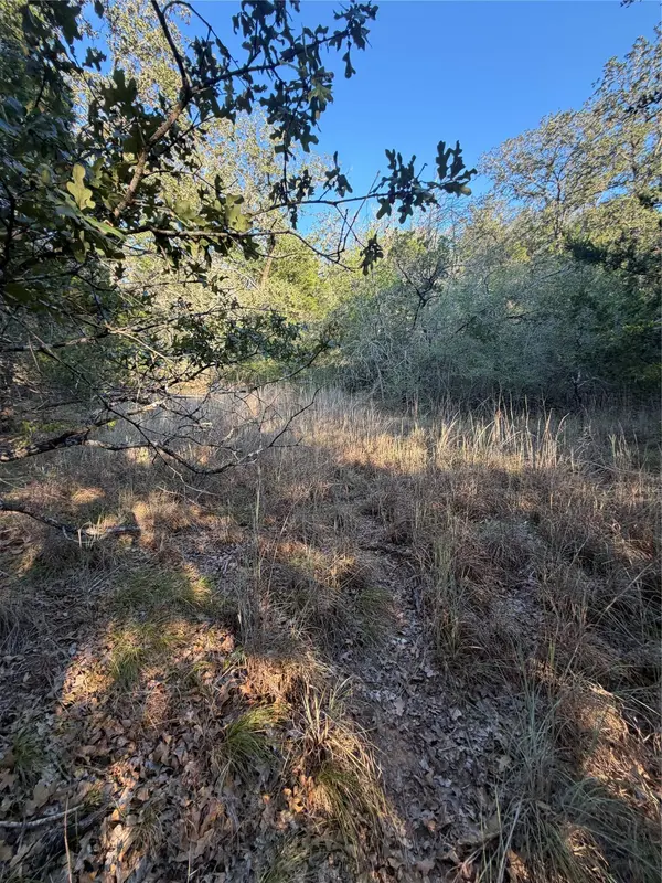 Lot 194 Kaelepulu DR, Bastrop, TX 78602