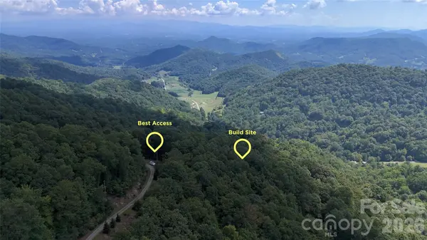 TBD Black Bear TRL, Leicester, NC 28748