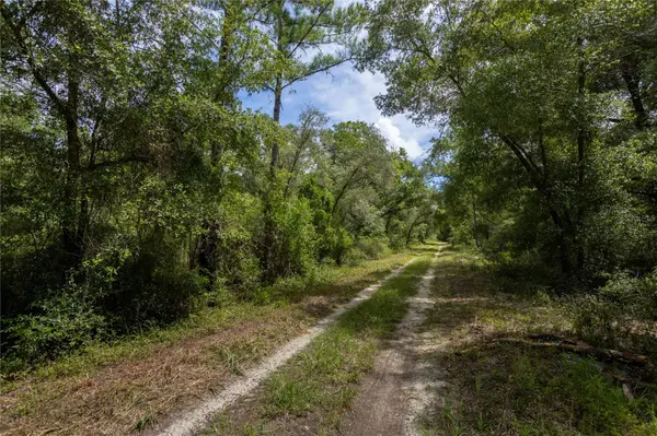 0 NE 81ST ST, Bronson, FL 32621