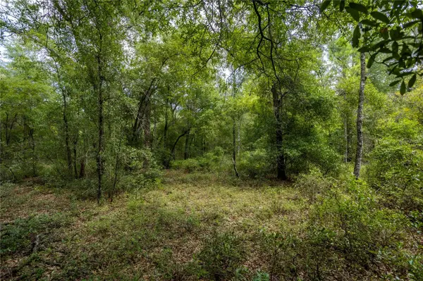 0 NE 81ST ST, Bronson, FL 32621