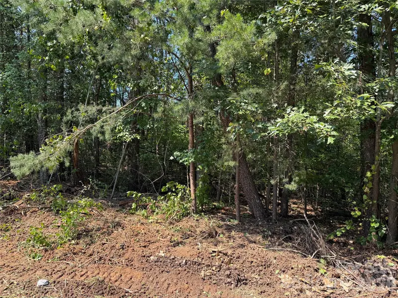 0 Katherine DR, Denver, NC 28037