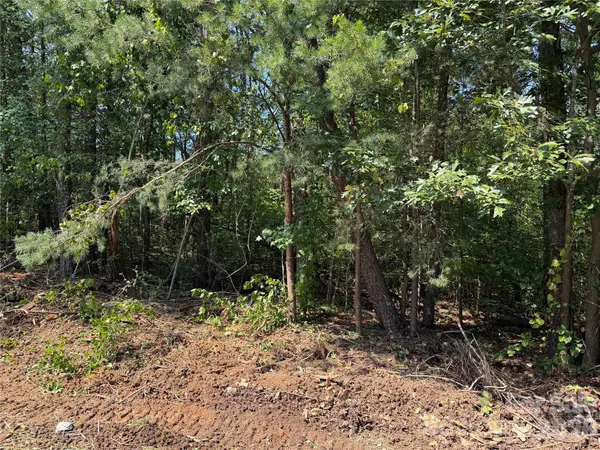 0 Katherine DR, Denver, NC 28037