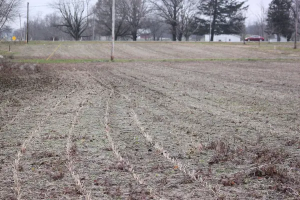 Lots 124, 125 W Clyde ST, Frankton, IN 46044