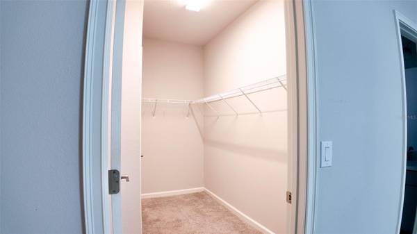 12937 SATIN LILY DR, Riverview, FL, 33579 photo 15