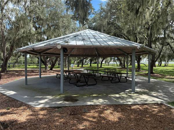 12937 SATIN LILY DR, Riverview, FL, 33579 photo 32