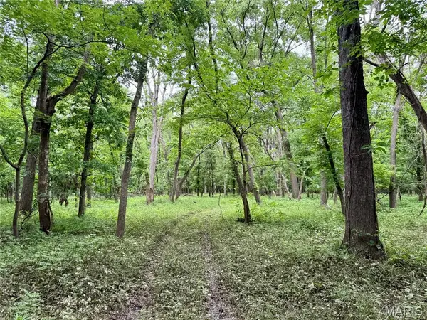 0 County Road 232, Unincorporated, MO 64688