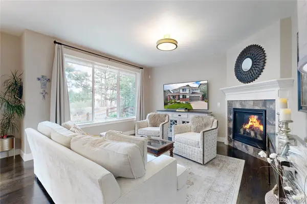 20303 Spruce Point PL, Parker, CO 80134
