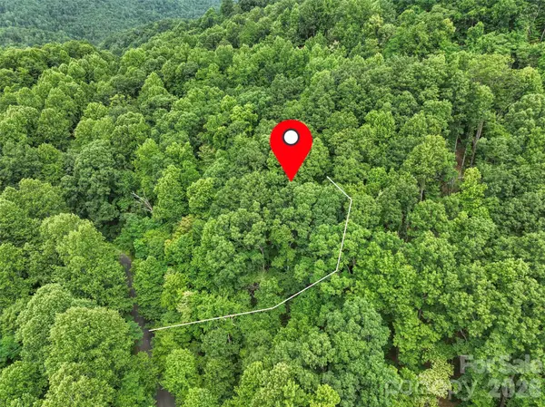 000 Mckenzie WAY N #588&589, Old Fort, NC 28762