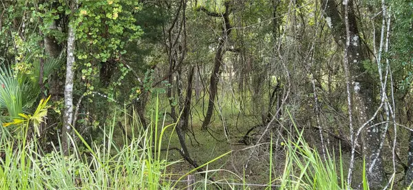 10400 E MOCCASIN SLOUGH RD, Inverness, FL 34450