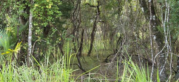 10400 E MOCCASIN SLOUGH RD, Inverness, FL 34450