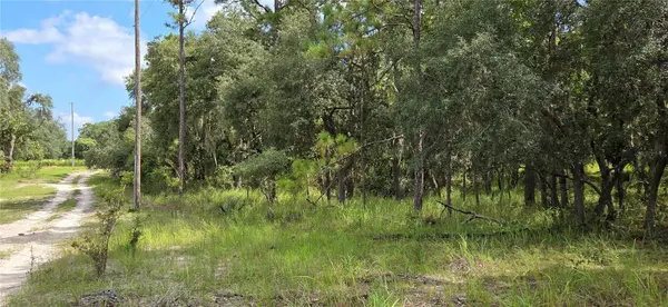 10400 E MOCCASIN SLOUGH RD, Inverness, FL 34450