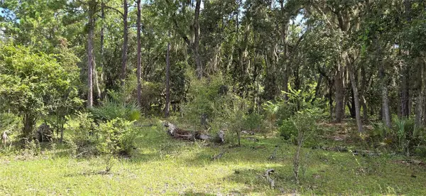 10400 E MOCCASIN SLOUGH RD, Inverness, FL 34450