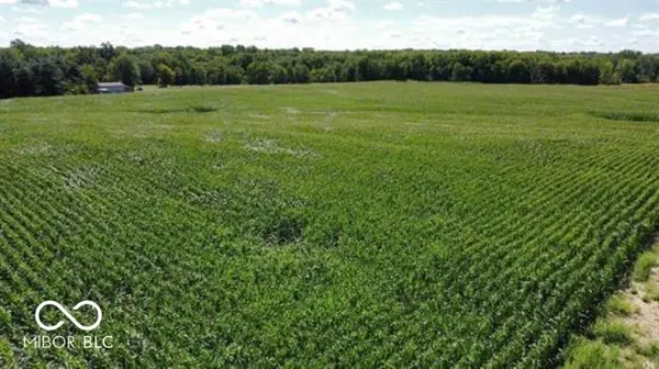 0880 W 800 N, Montpelier, IN 47348