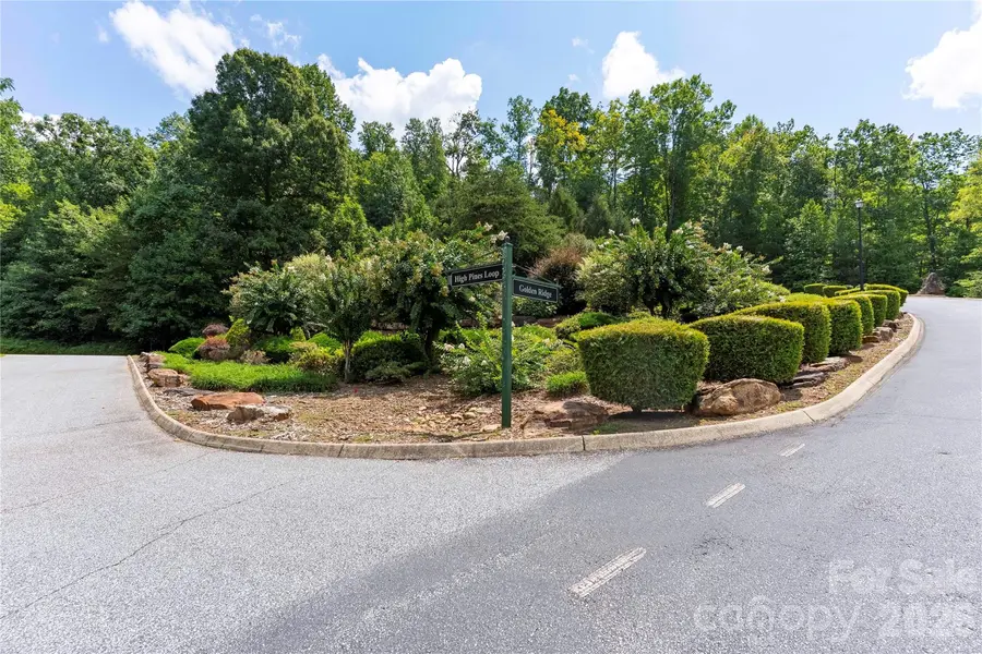 0 High Pines LOOP #139 & 157, Lake Lure, NC 28746