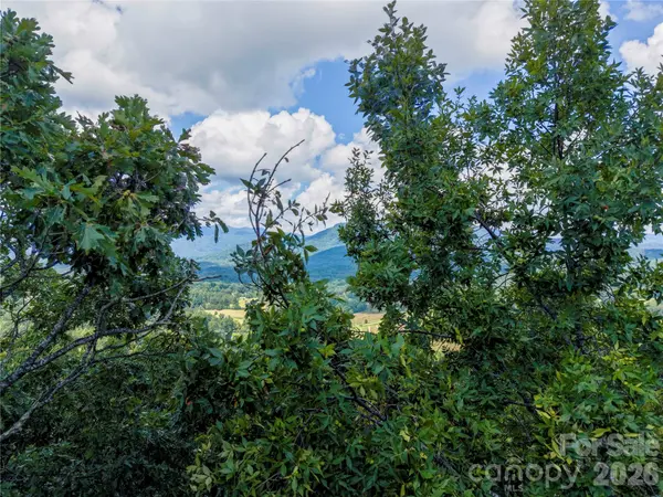 0 High Pines LOOP #139, Lake Lure, NC 28746