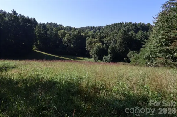 99999 Dream Valley DR, Clyde, NC 28721