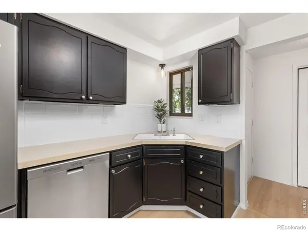 925 Bragg PL, Longmont, CO 80501