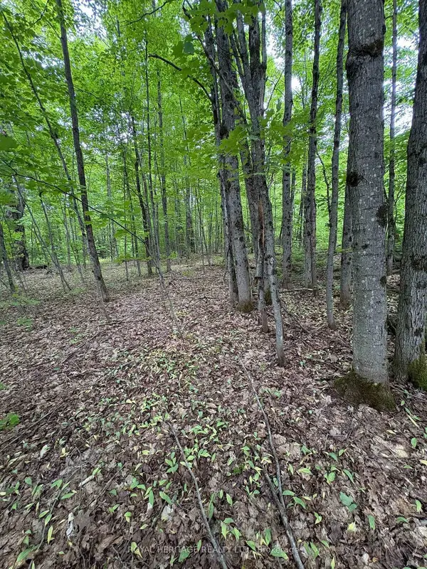 1043 Lawrence Pit RD, Muskoka Lakes, ON P0B 1M0