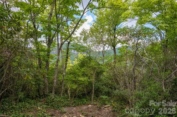 916 Meadow Ridge DR, Lake Toxaway, NC 28747