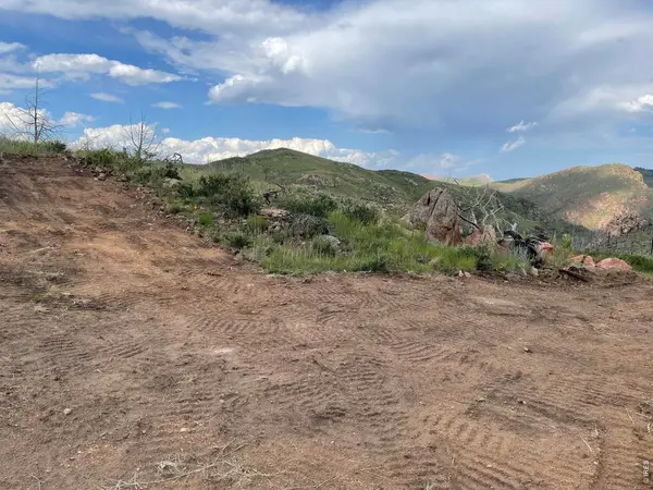 1400 Meadow Mountain, Livermore, CO 80536