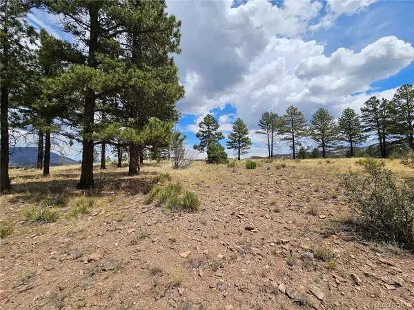 440 Rickel CIR, South Fork, CO 81154
