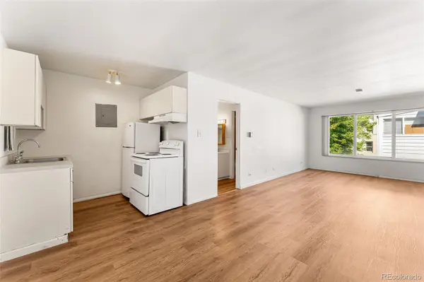 855 N Pennsylvania ST #312, Denver, CO 80203
