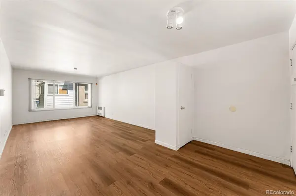 855 N Pennsylvania ST #312, Denver, CO 80203