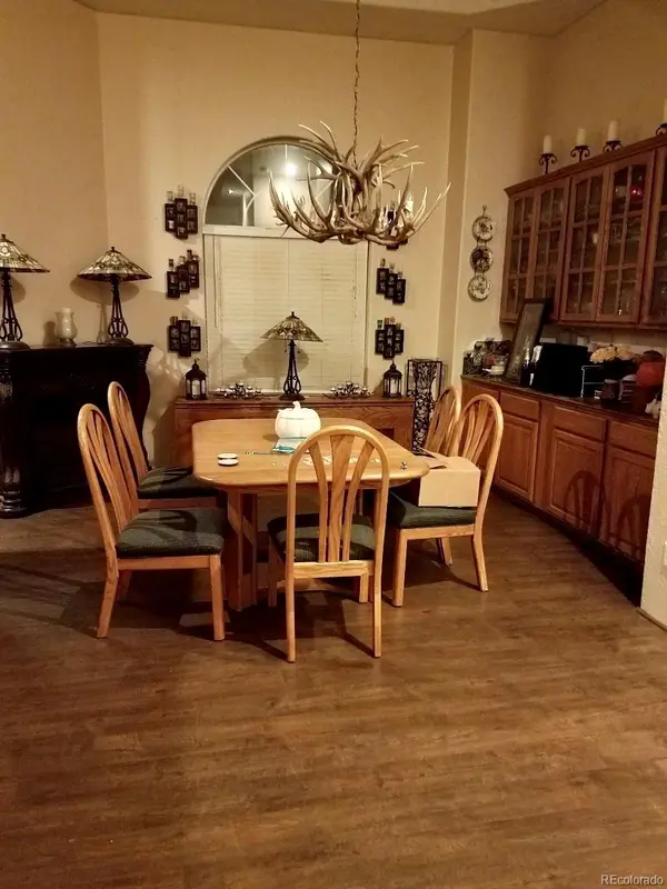 20173 Spring Creek TRL, Buffalo Creek, CO 80425