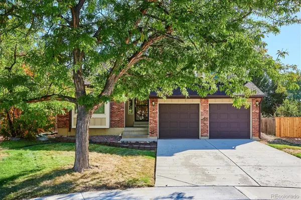 7348 S Mount Holy Cross, Littleton, CO 80127