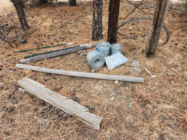 000 Twinkle RD, Guffey, CO 80820