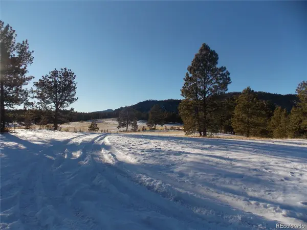 000 Twinkle RD, Guffey, CO 80820