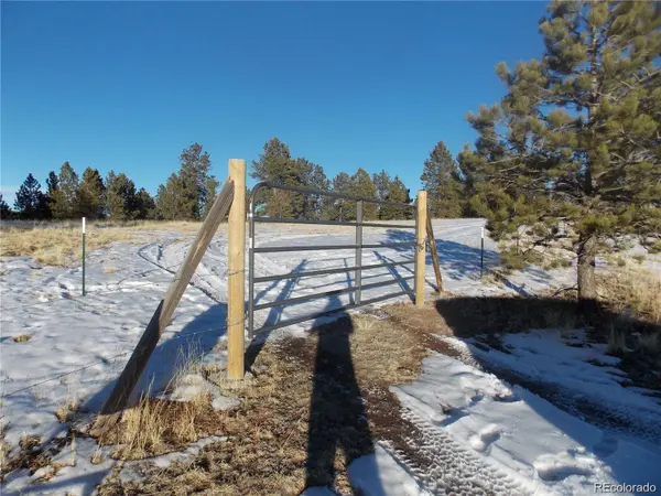 000 Twinkle RD, Guffey, CO 80820