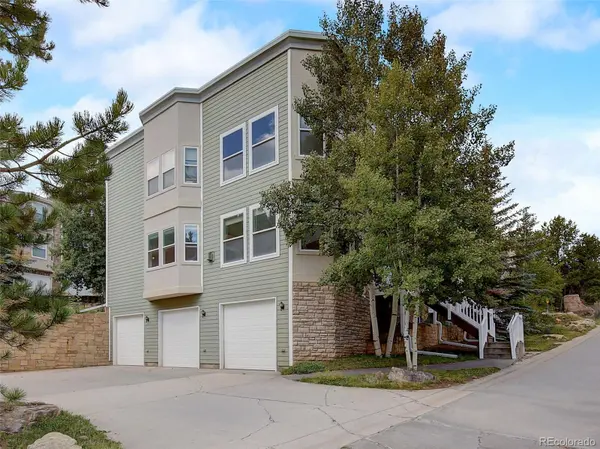 780 Brewery DR, Central City, CO 80427